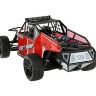 Радиоуправляемая багги Himoto Dirt Wrip 4WD 2.4G 1/10 RTR